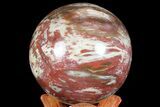Colorful Petrified Wood Sphere - Madagascar #67744-1